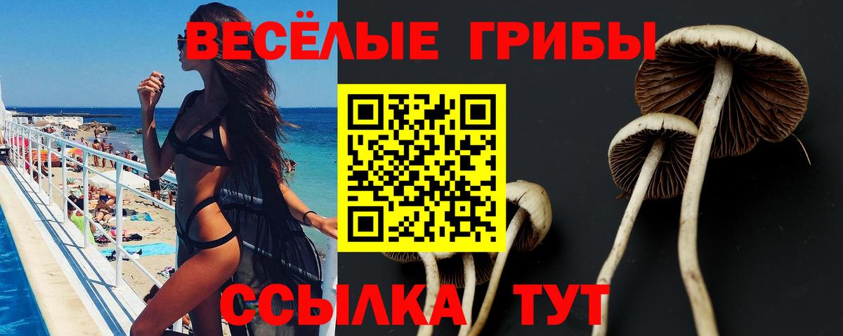 Галлюциногенные грибы ЛСД Красногорск