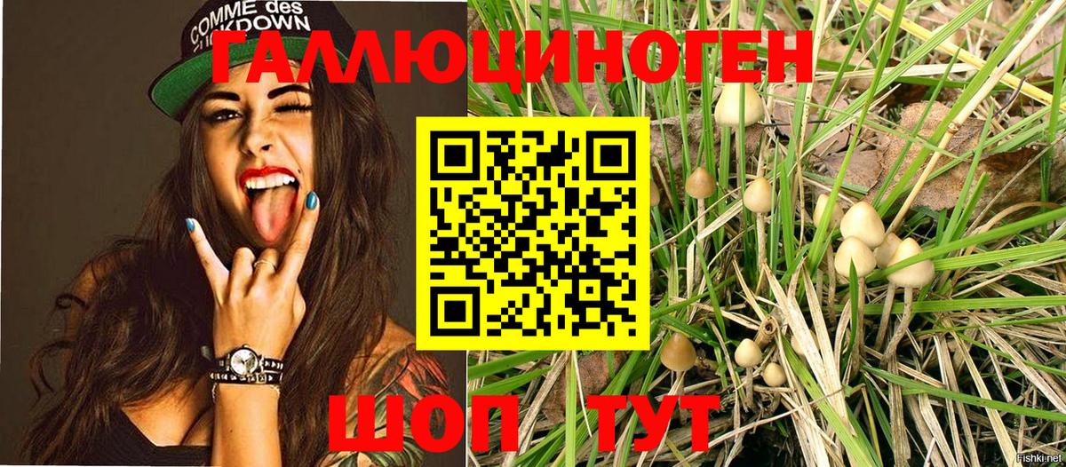 Псилоцибиновые грибы Magic Shrooms  где купить наркотик  Красногорск  Вход с VPN 